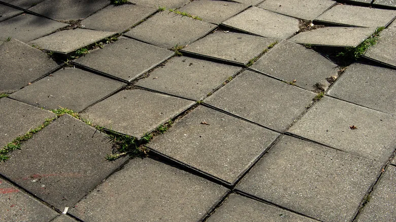 Les 5 erreurs à éviter lors de l’installation de pavé uni résidentiel à Laval